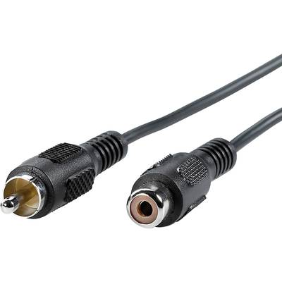 Twee audio-aansluitingen, links een mannelijke RCA-stekker en rechts een vrouwelijke RCA-aansluiting, beide met een zwart kabel.