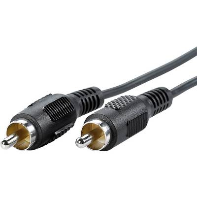 Twee zwarte Cinch-stekkers met een geribbelde behuizing en een metalen contactuiteinde, verbonden door een zwart kabel.