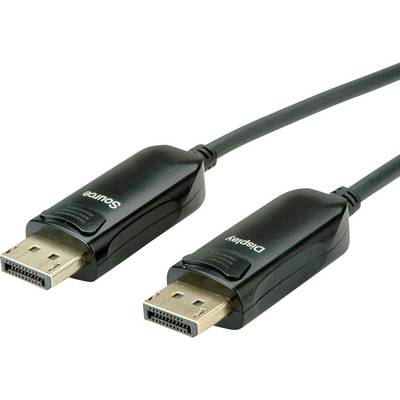 Twee zwarte DisplayPort-kabels met rechthoekige connectoren en opschriften 'Source' en 'Display', bestemd voor video- en audiooverdracht.
