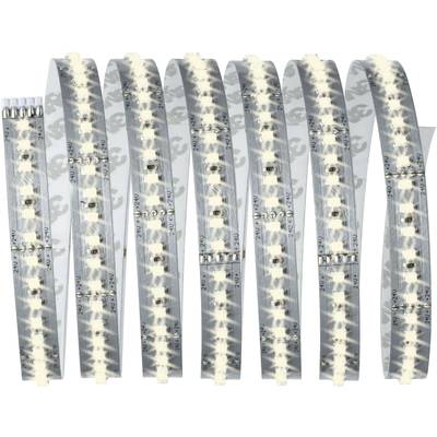 Paulmann axLED 1000 79814 LED-strip  Met connector (male) 24 V 2.5 m Warmwit 