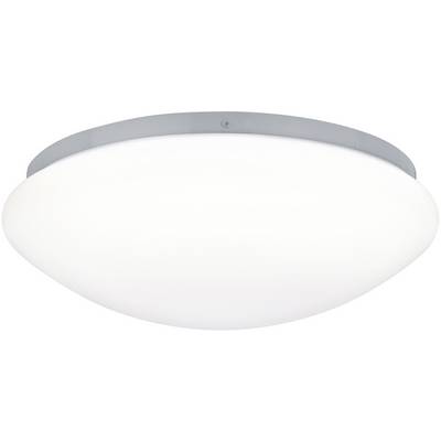 Ronde, witte plafondlamp met zilveren rand, geschikt voor moderne interieurs.