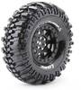 Louise 1:10 Crawler Banden Champ 2 stuk(s)