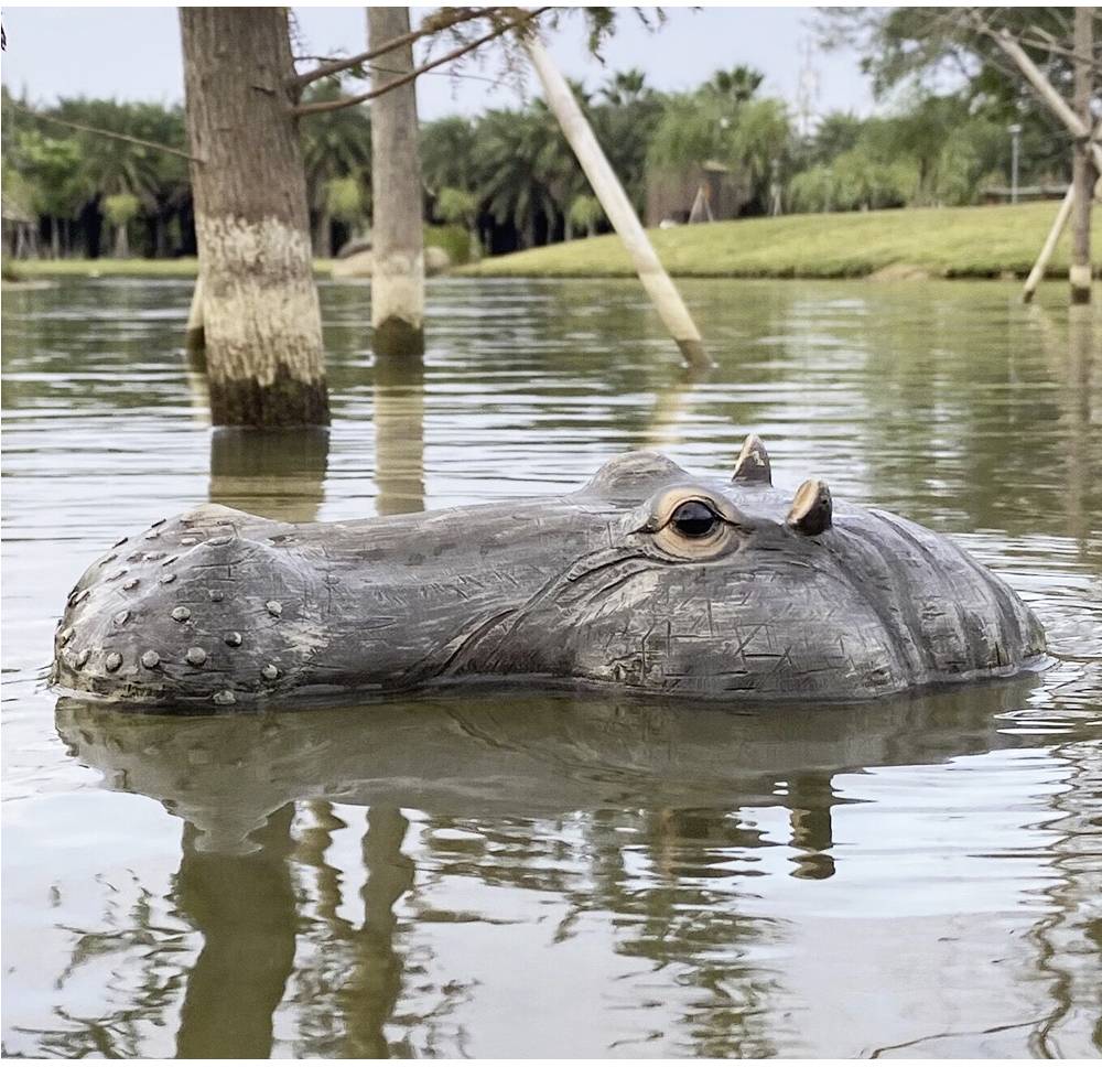 Een nijlpaard zwemt in het water, met bomen op de achtergrond. Alleen het hoofd is zichtbaar, wat wijst op een groter wateroppervlak.