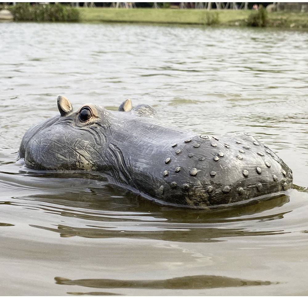 Een nijlpaard zwemt in het water, waarbij alleen zijn kop en rug zichtbaar zijn. Op de achtergrond zijn bomen en een weide te zien.