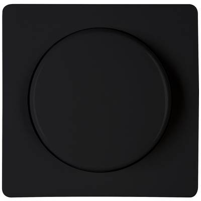 Een zwarte lichtschakelaar met een vierkante plaat en een ronde draaiknop in het midden, in een minimalistisch design.