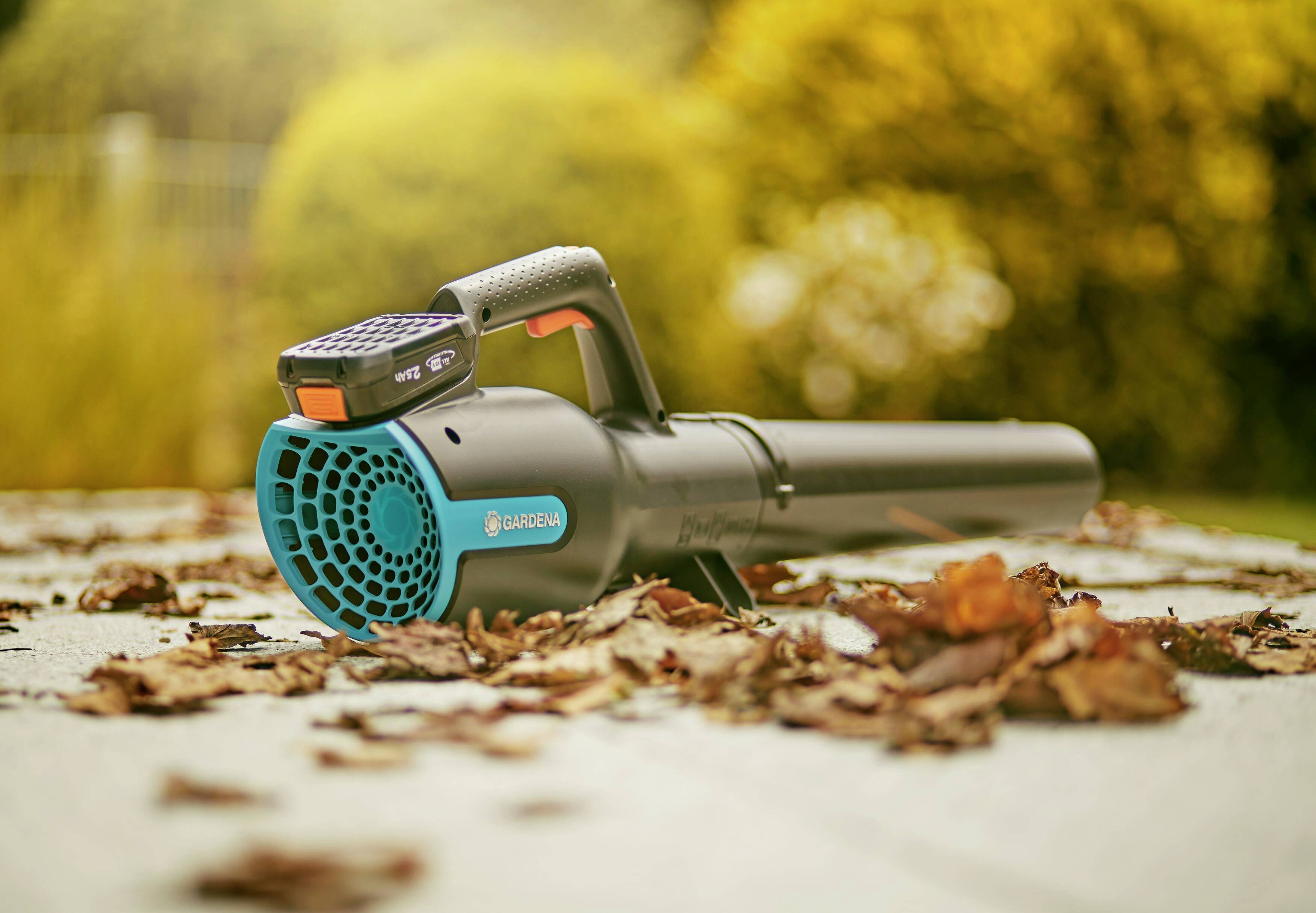 Een bladblazer ligt op een stoep, omringd door herfstbladeren. Op de achtergrond zijn bomen wazig te zien.