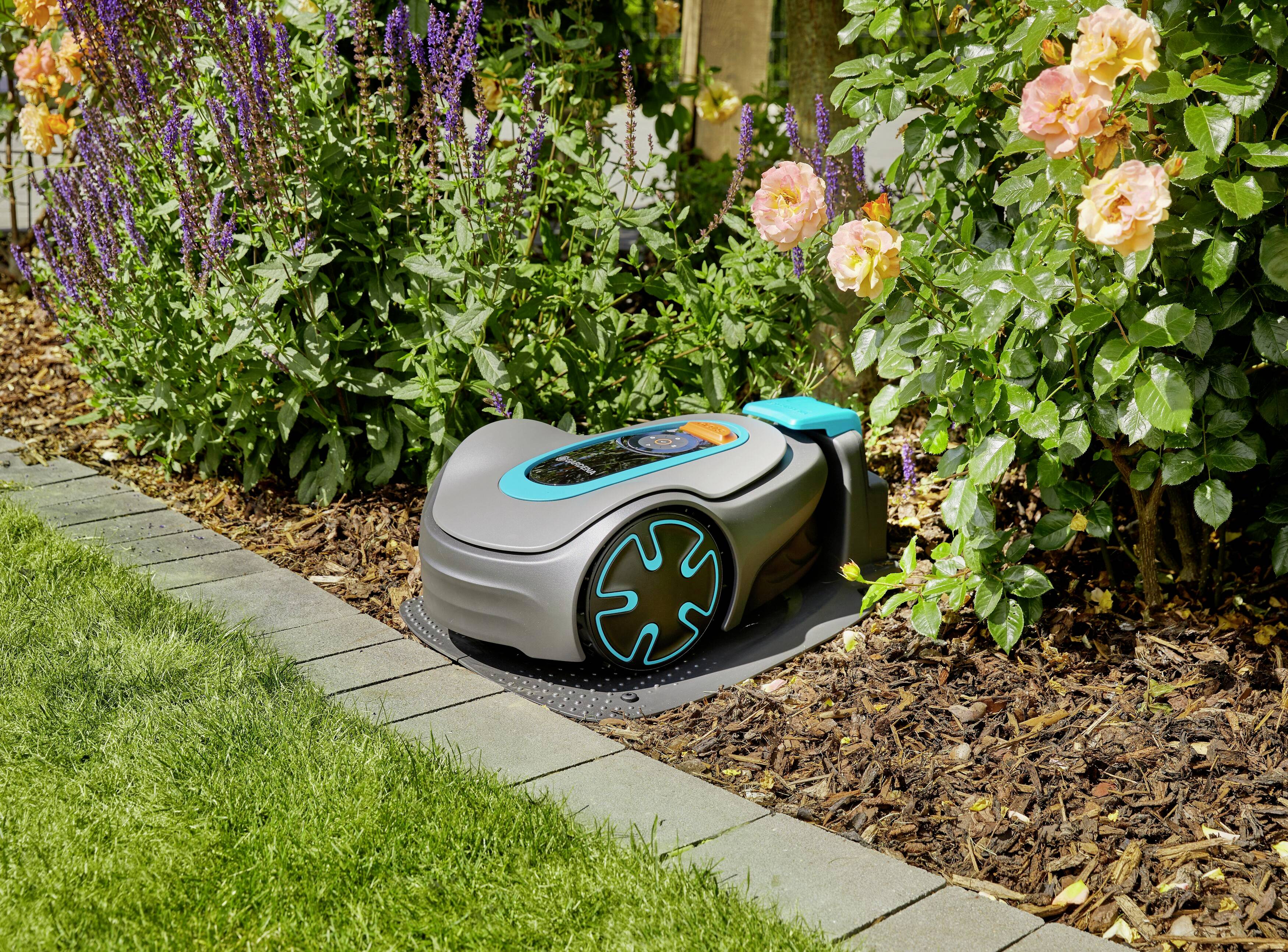 Een maairobot maait het gazon in een tuin nabij bloemperken met lavendel en rozen, begrensd door een stenen rand.