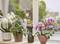 Kamerplanten op de vensterbank met orchideeën en een groene plant naast een zwarte plantensproeier, met op de achtergrond een bloeiende tuin.