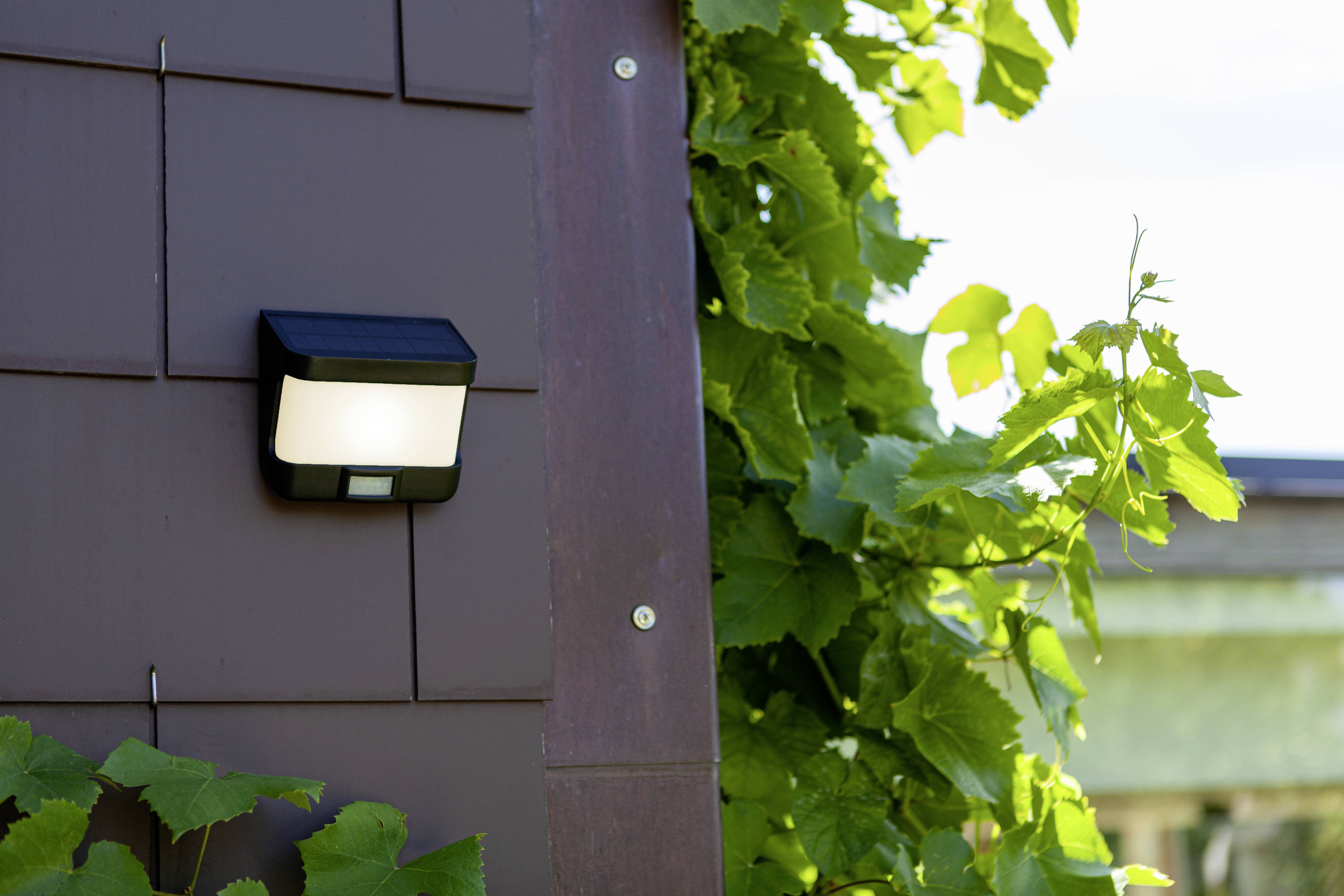 Een buitenlamp schijnt aan een muur naast groene bladeren in het zonlicht.