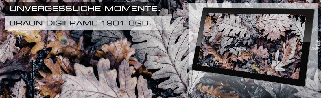 Herfstelijke eikenbladeren liggen op de grond. Een digitale fotolijst toont hetzelfde beeld. Tekst: 'Onvergetelijke momenten. Braun Digiframe 1901 8GB'.