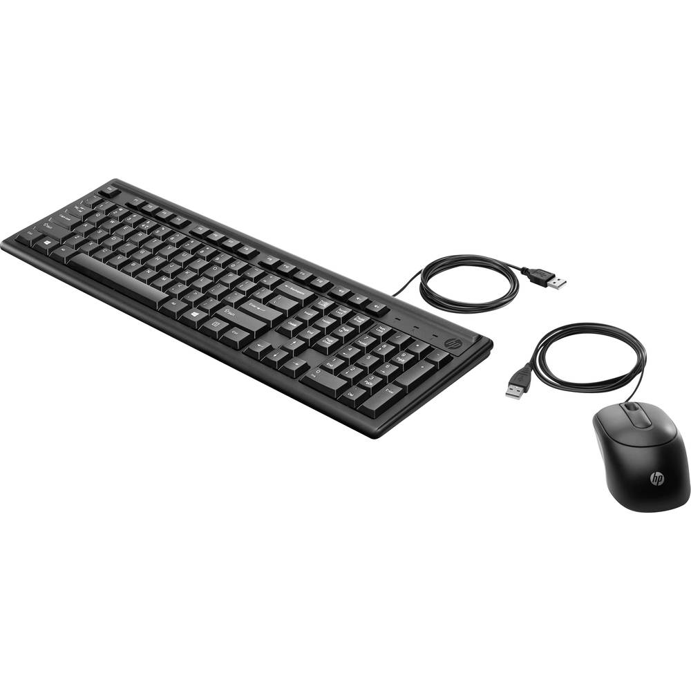 HP 160 Set met toetsenbord en muis Kabelgebonden, USB Numeriek toetsenbord QWERTZ, Duits Zwart