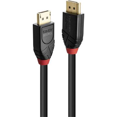 Twee zwarte DisplayPort-kabels met goudkleurige connectoren en een rode accenten. Links is 'LINDY Source' te zien op een connector.