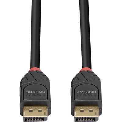 Twee DisplayPort-kabels met een zwart kabel en gouden aansluitingen, een gemarkeerd met 'SOURCE', de andere met 'DISPLAY'.