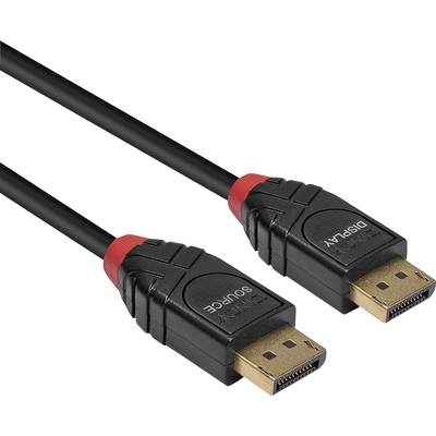 Een zwart DisplayPort-kabel met twee aansluitingen, gemarkeerd als 'Bron' en 'Weergave', om audiovisuele apparaten te verbinden.