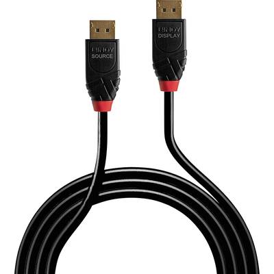 Zwart DisplayPort-kabel met twee connectoren, één gemarkeerd met 'Source' en de andere met 'Display', beide voorzien van rode accenten.