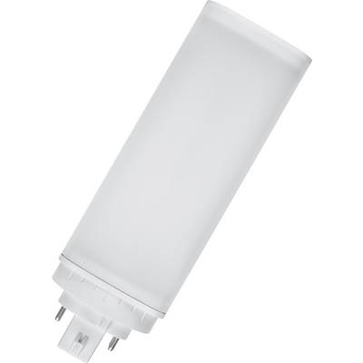 Witte LED-lamp met G24-fitting, cilindrische vorm, gezien van bovenaf.