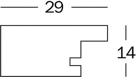 Technische tekening van een rechthoekig gebied met twee uitstekende treden, voorzien van opschrift '29' en aan de zijkant '14'.