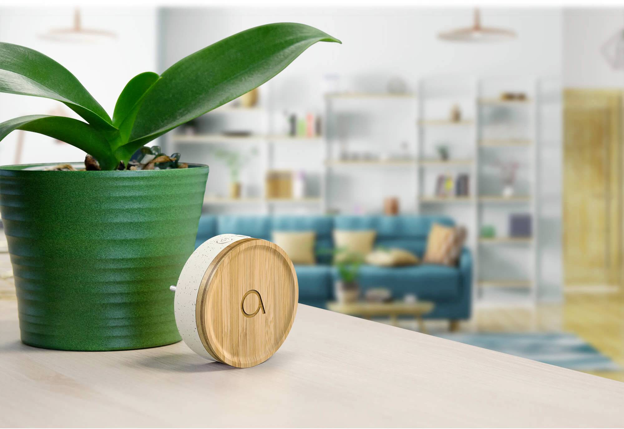 Een groene plantenpot staat op een tafel; ernaast een klein, rond houten voorwerp. Op de achtergrond wazig een moderne woonkameromgeving.