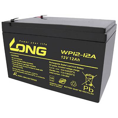 Zwarte verzegelde lood-zuur-accu met gele opschriften. Model 'WP12-12A', 12V, 12Ah. Waarschuwingsteksten en recycling-symbool.