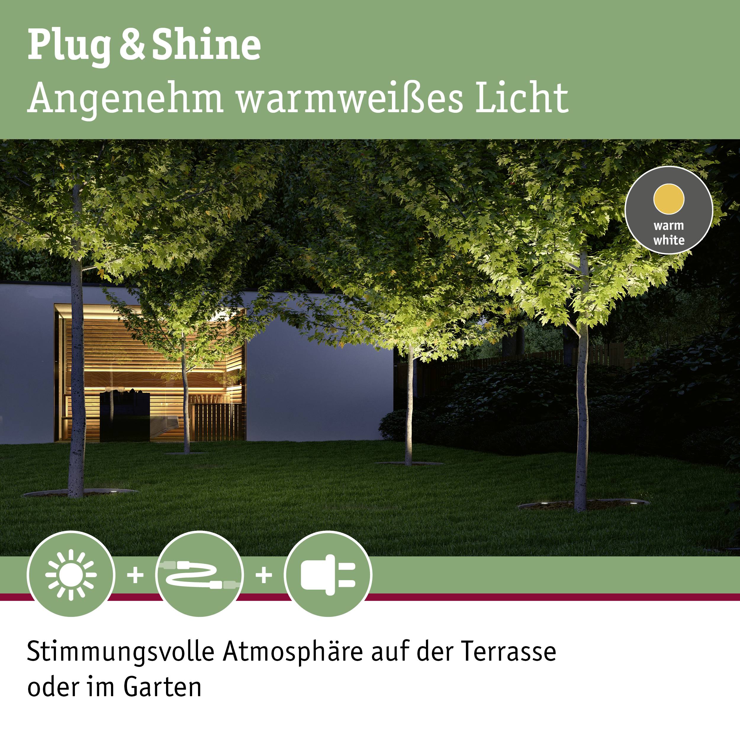 Plug & Shine: Twee verlichte bomen in de tuin creëren een warme, sfeervolle sfeer.