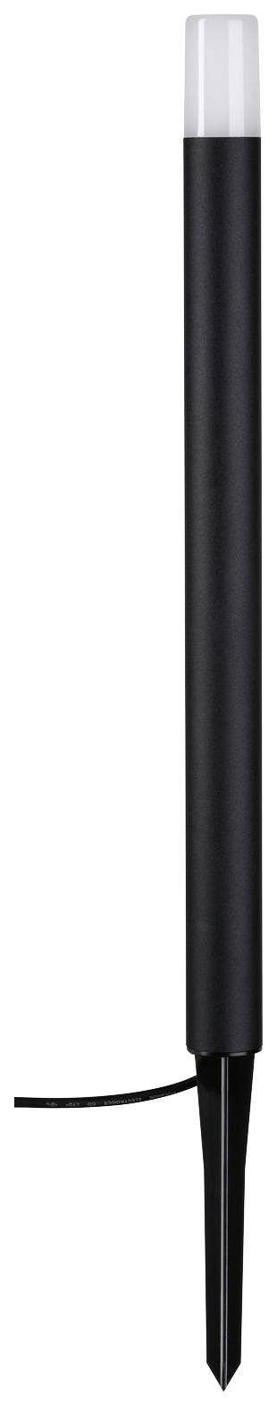 Zwarte, cilindrische buitenlamp met grondpen en transparant bovengedeelte voor verlichting in de tuin.