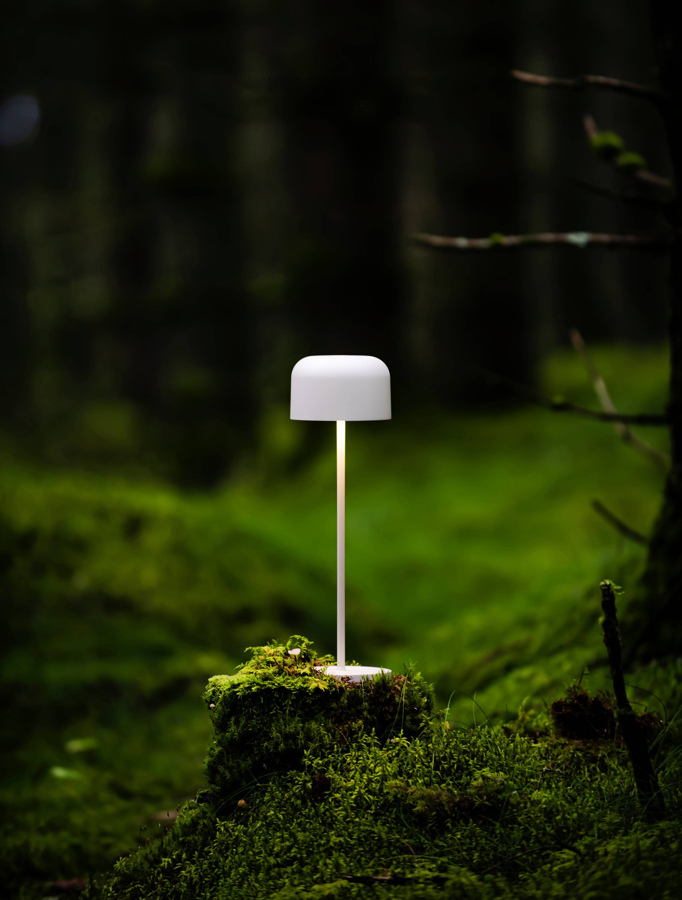 Een moderne, witte lamp staat op een met mos bedekte boomstronk in het bos, verlicht subtiel zijn omgeving in een groene, dichte bossen.