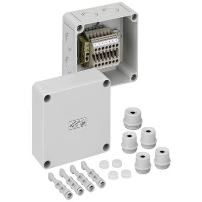 Compacte elektrische aansluitdoos met open deksel, zichtbare klemmen en kabelwartelbevestigingen. Behuizing in neutraal grijs.