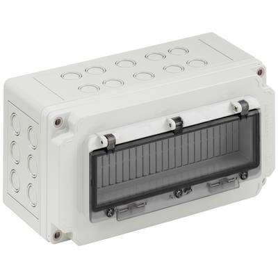 Grote kunststof aftakdoos met meerdere zijdelingse kabelopeningen en een transparante voorkant. Geschikt voor elektrische bekabeling.