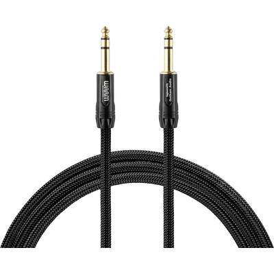 Zwart audiokabel met gouden 6,3-mm-stereo-jackstekkers aan beide uiteinden, geschikt voor professionele audio-toepassingen.