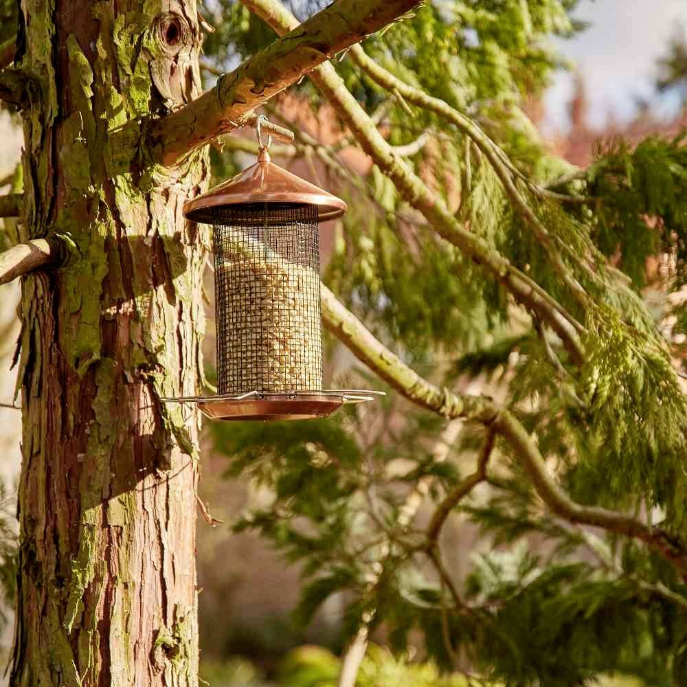 Een voederbak vol zaden hangt aan een boom in een zonnige tuin, klaar om vogels te lokken.