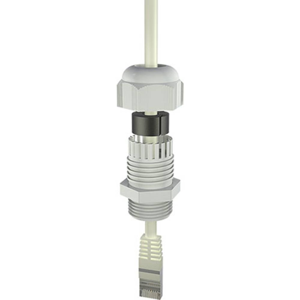 Bopla MBF 25-USB Kabelverschraubung 12002404 Drukcompensatie element M12 RVS RVS 1 stuk(s)