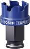 Bosch Accessories EXPERT Sheet Metal 2608900494 Gatenzaag 1 stuks 25 mm 1 stuk(s)