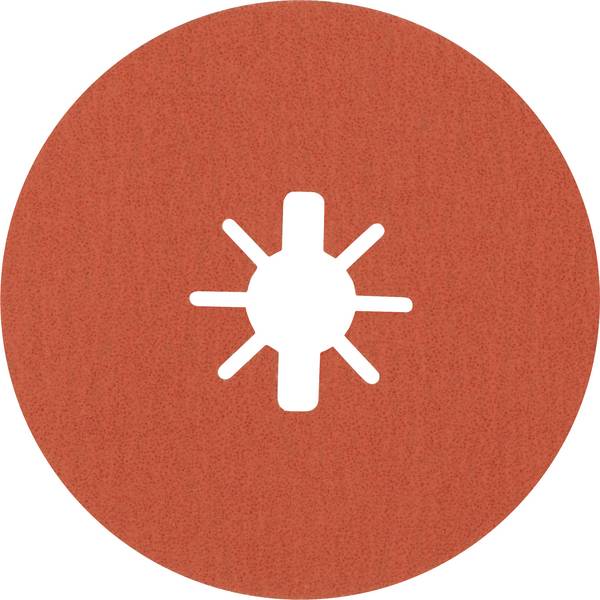 Bosch Accessories 2608621810 Fiberschijf Diameter 125 mm Korrelgrootte (num): 80 5 stuk(s)
