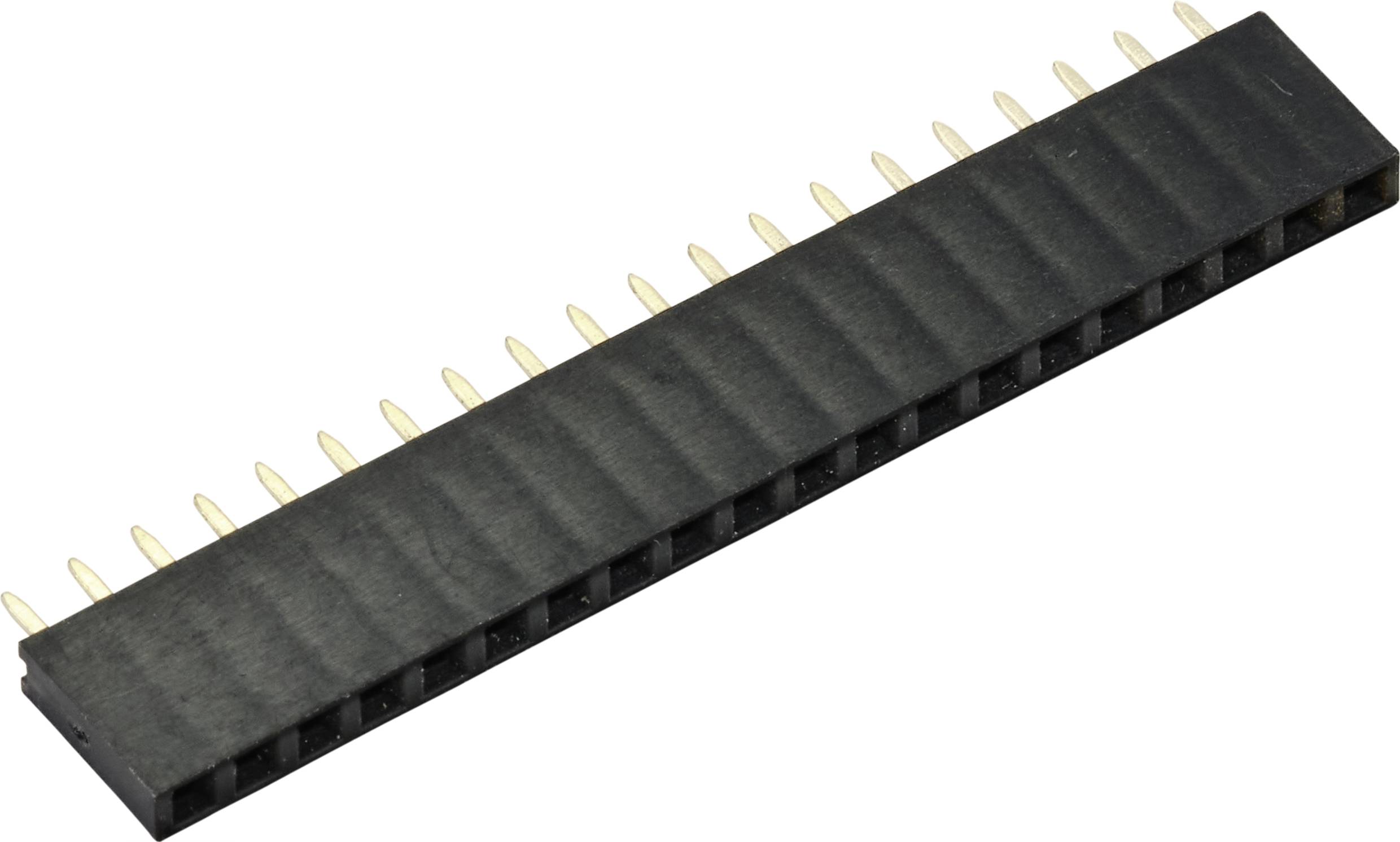 Een rechthoekige elektronische stekker met meerdere gouden pinnen langs een zijde.