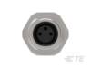 TE Connectivity 2-2172088-2 Carton 1 stuk(s)