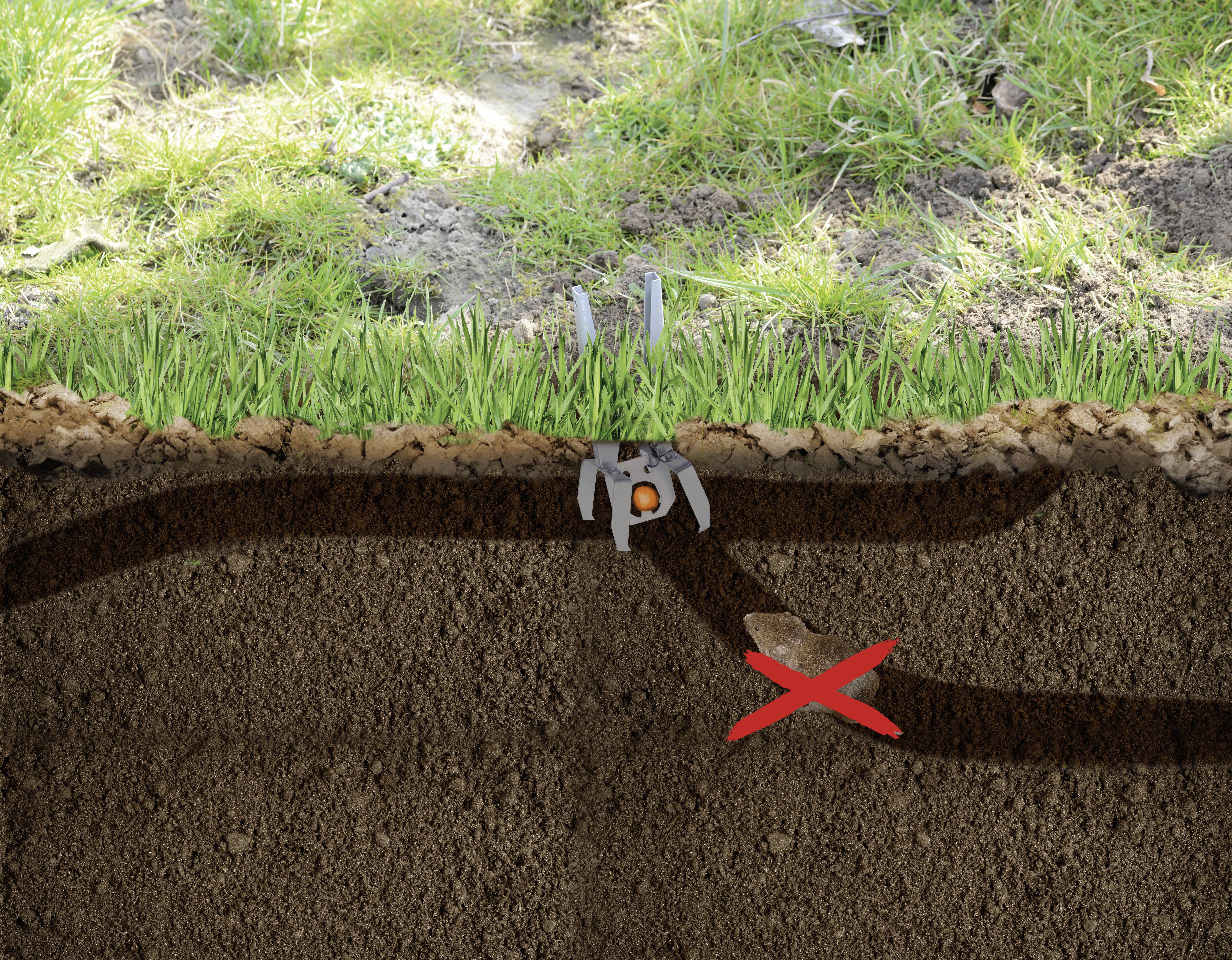 Een mol is gevangen in een tunnel onder de grond. Een rode X markeert de geblokkeerde weg. Bovenaan is gras zichtbaar.