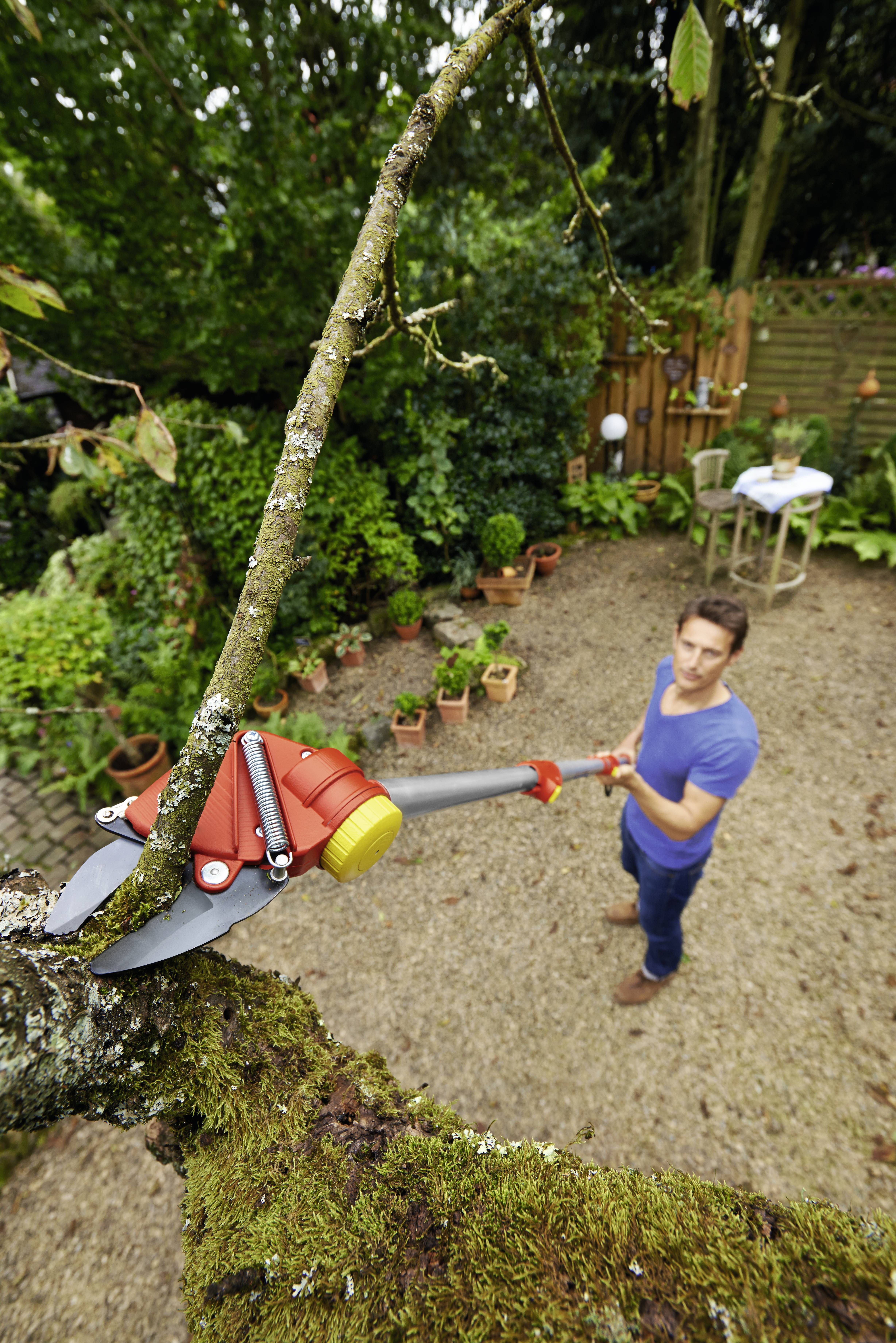 Een man in de tuin snoeit een boomtak met een lange snoeischaar. Op de achtergrond zijn planten en een tafel zichtbaar.