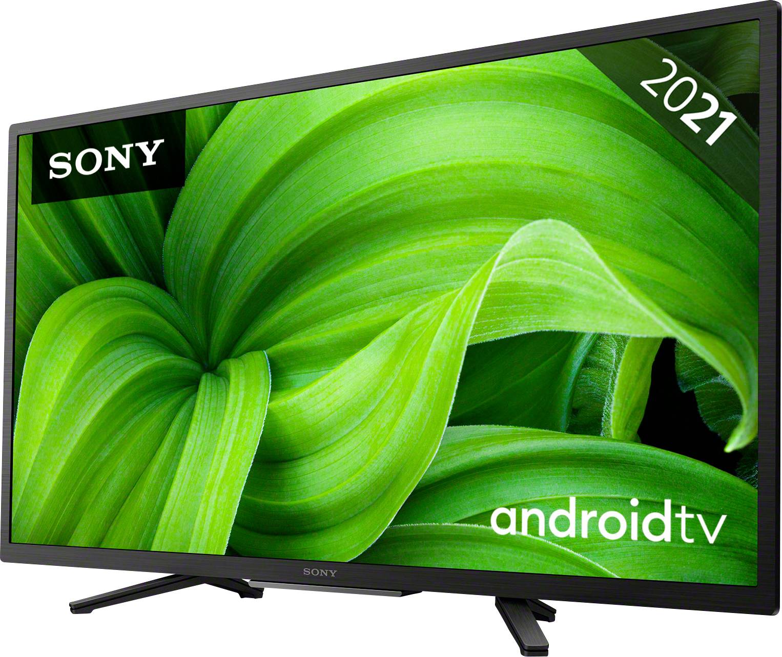 Een Sony-televisie met het opschrift 'android tv'. Het scherm toont een afbeelding van grote groene bladeren.