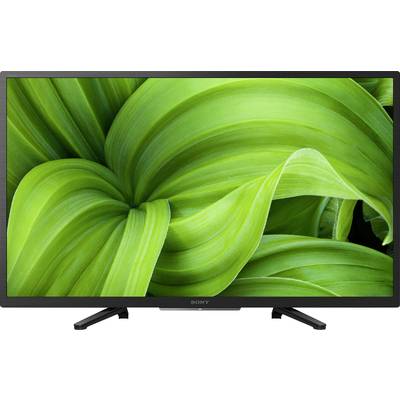Grote groene bladeren op een Sony-televisiebeeldscherm. De bladeren hebben gebogen lijnen en een levendige groene kleur.