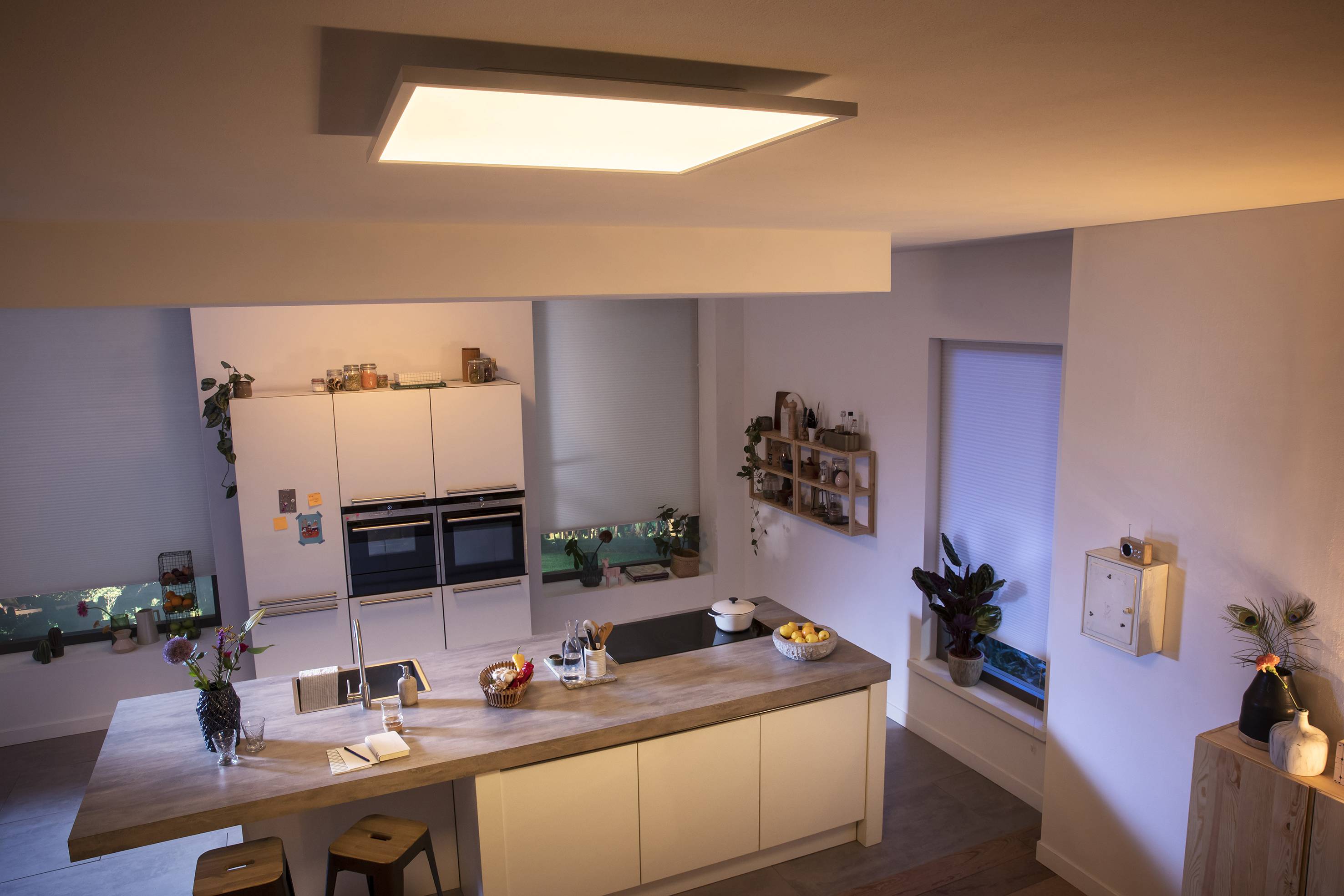 Moderne keuken met een kookeiland in het midden, omgeven door witte kasten en planten bij gedempte verlichting.