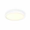 Philips Hue LED-paneel 871951438268800 Hue White Amb. Aurelle Panelleuchte rund LED vast ingebouwd 21 W