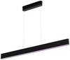Philips Hue LED-hanglamp 871951434336800 Hue White & Col. Amb. Ensis LED vast ingebouwd 79 W