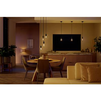 Gezellige woonkamer met moderne verlichting. Houten tafel met stoelen, plant in de hoek, bank op de voorgrond, gedempte verlichting.