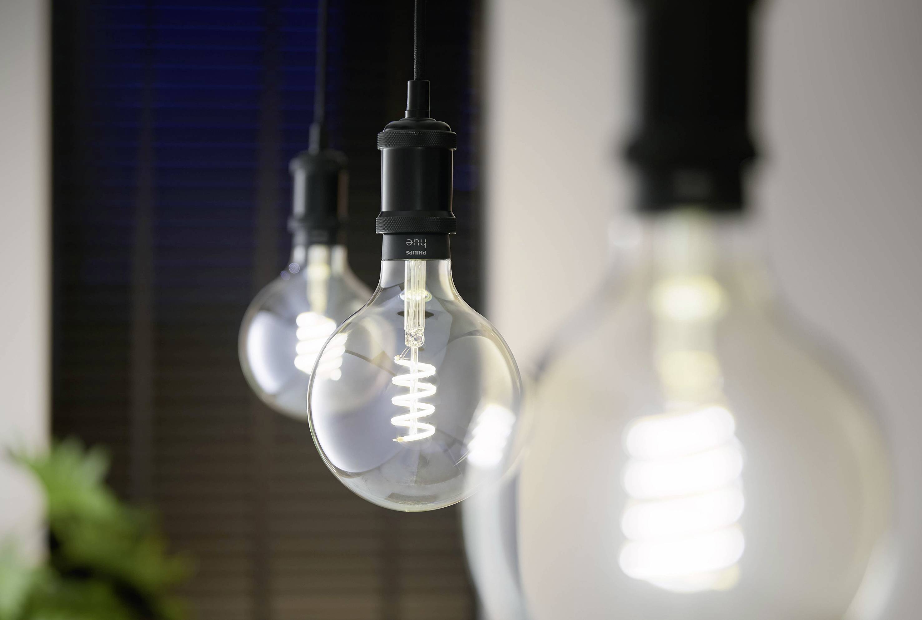 Drie hangende gloeilampen met spiraalvormige gloeidraden in een moderne binnenruimte bij zwak licht. Een plant op de achtergrond.