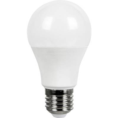 Een witte LED-lamp met E27-fitting, gefotografeerd tegen een neutrale achtergrond.