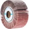 PFERD TOOLS 44712081 Waaier Diameter 100 mm 2 stuk(s)