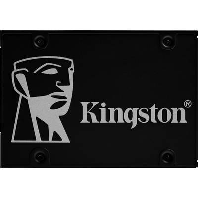 Kingston harde schijf met een logo van een gestileerd gezicht aan de linkerkant en de tekst 'Kingston' aan de rechterkant.