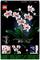 Lego-set toont een orchidee met witte en roze bloemen, omringd door groene bladeren. Afbeeldingen hieronder tonen close-ups van de details.