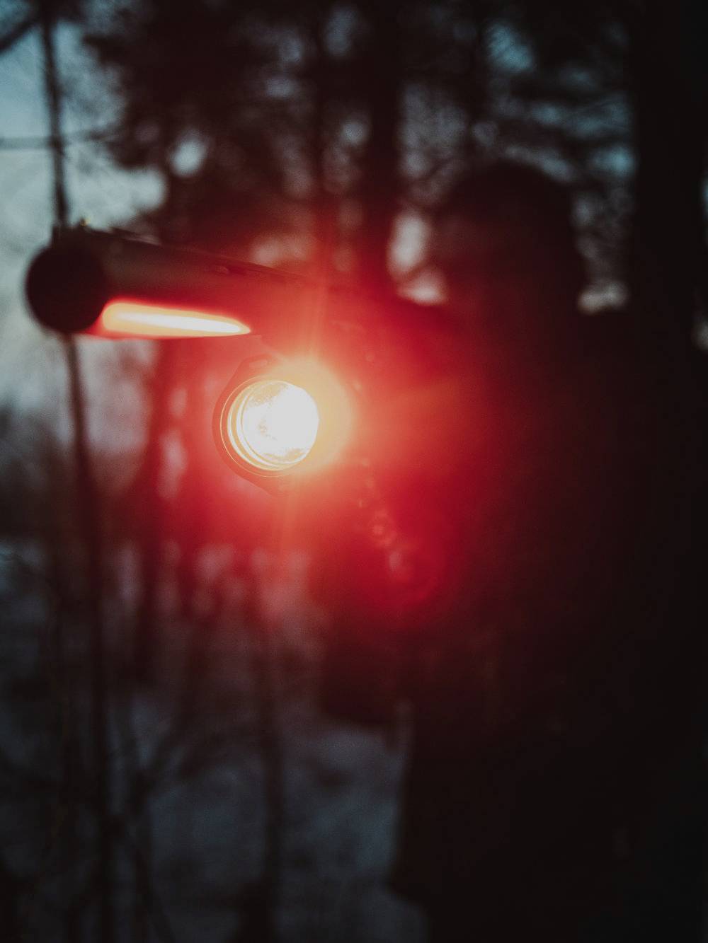 Een persoon schijnt met een rode zaklamp in een donker bos. Achtergrond onscherp, zaklamp in focus.