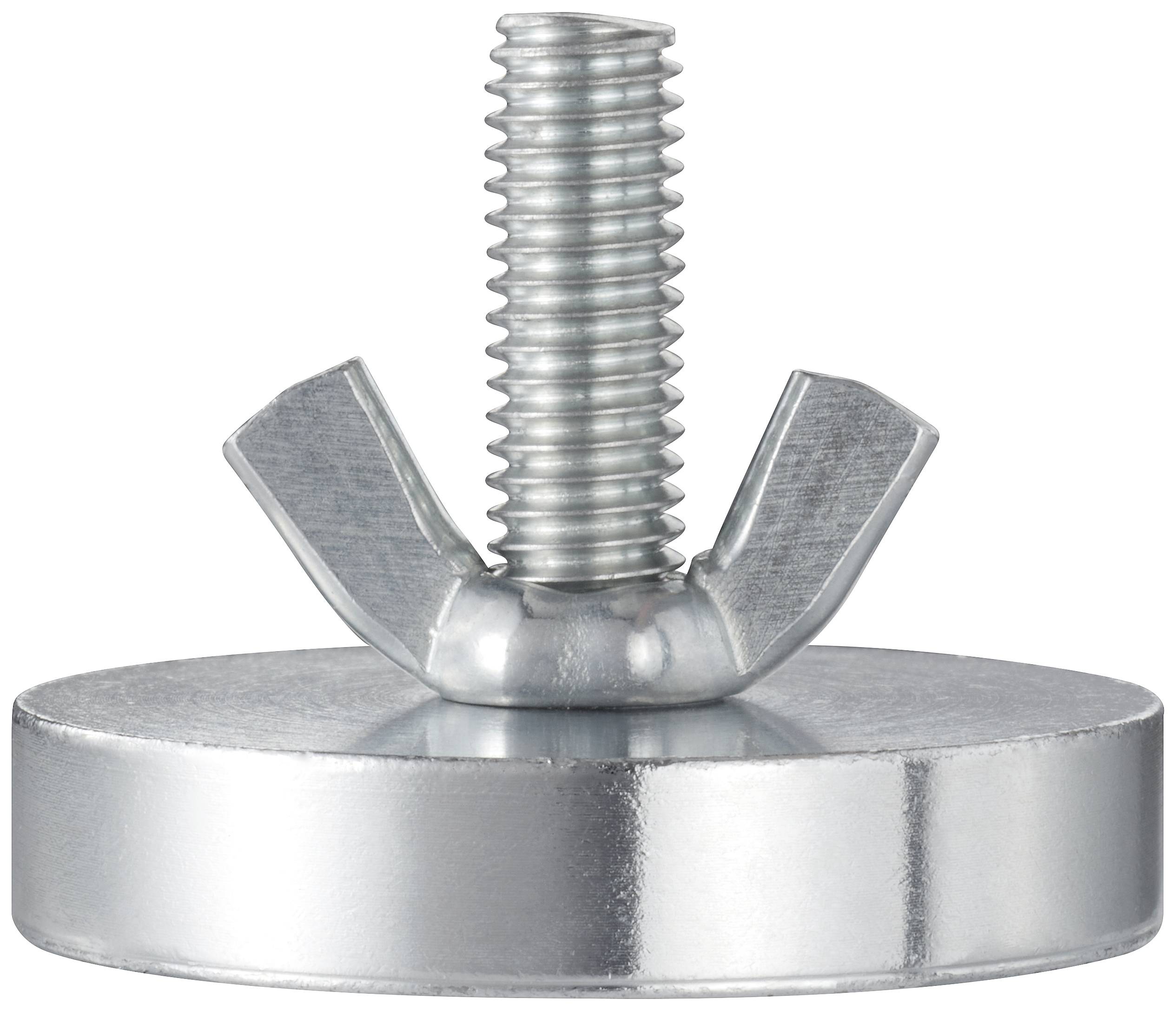 Metalen schroef met vleugelmoer op een ronde, platte sluitring.